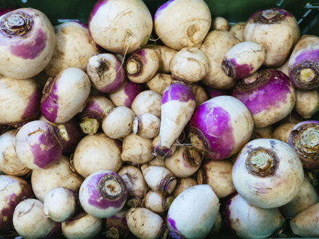 Turnips over tomatoes? My taste of Brexit Britain’s withering food culture